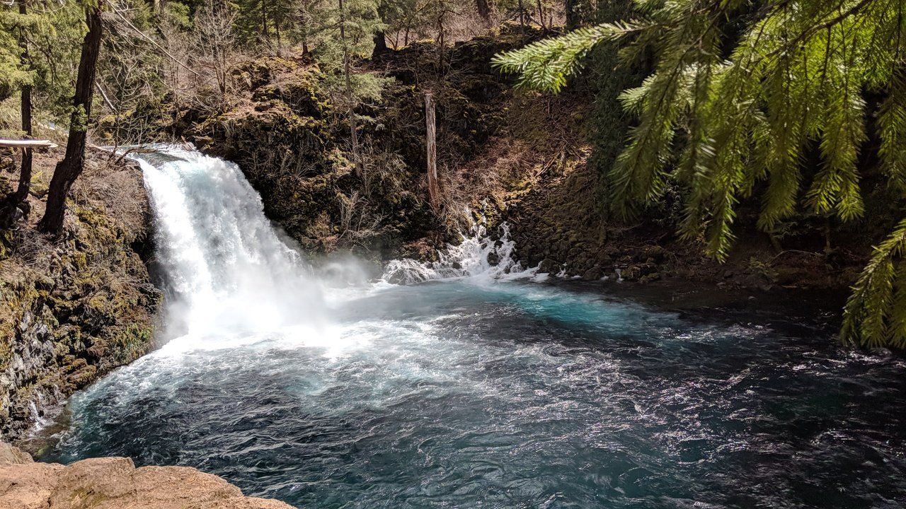 McKenzie River Trail (McKenzie Bridge): All You Need To Know