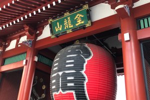旅行者の写真
