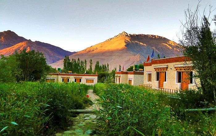 Nubra Ecolodge Hotel Nubra Valley - Reviews, Photos & Offer