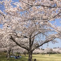 八戸公園