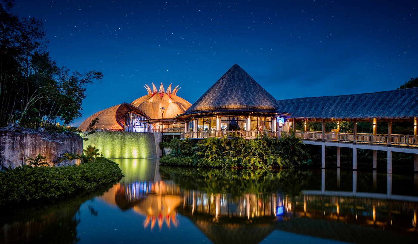 playa del carmen vidanta