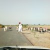 Kulwant Traveller