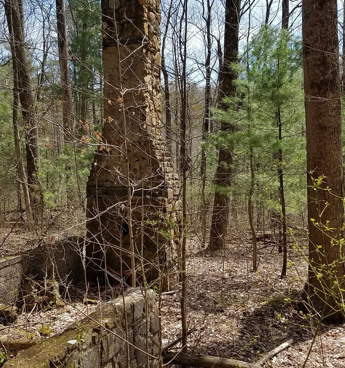 Jackson-Washington State Forest - All You Need to Know BEFORE You Go (2024)