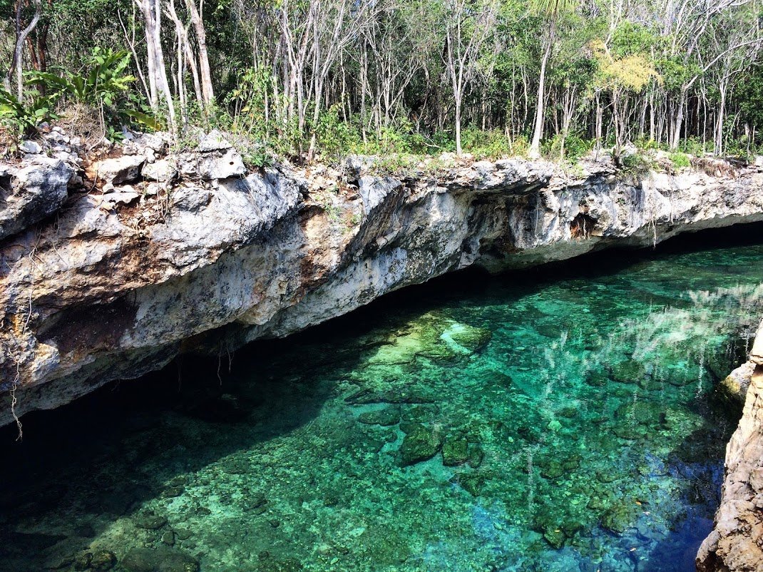 Cenotes Casa Tortuga Tulum - All You Need to Know BEFORE You Go