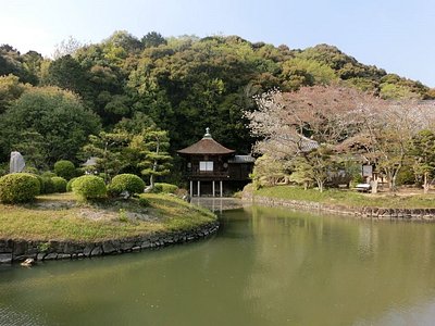21年日本岩出市的旅游景点 旅游指南 行程 Tripadvisor 21年日本岩出市的旅游景点 旅游指南 行程 Tripadvisor