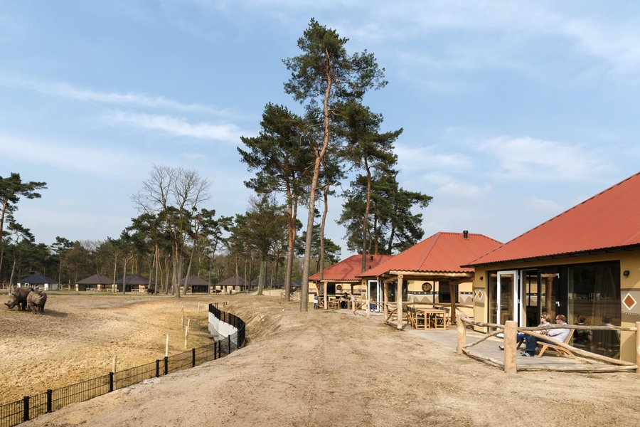 Safari Resort Beekse Bergen Rooms Pictures Reviews Tripadvisor