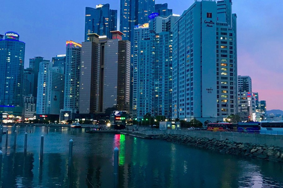 About chat apps in Busan