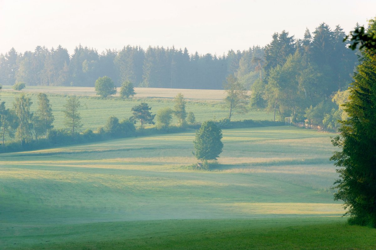 soibelmanns hotel bad alexandersbad bewertung