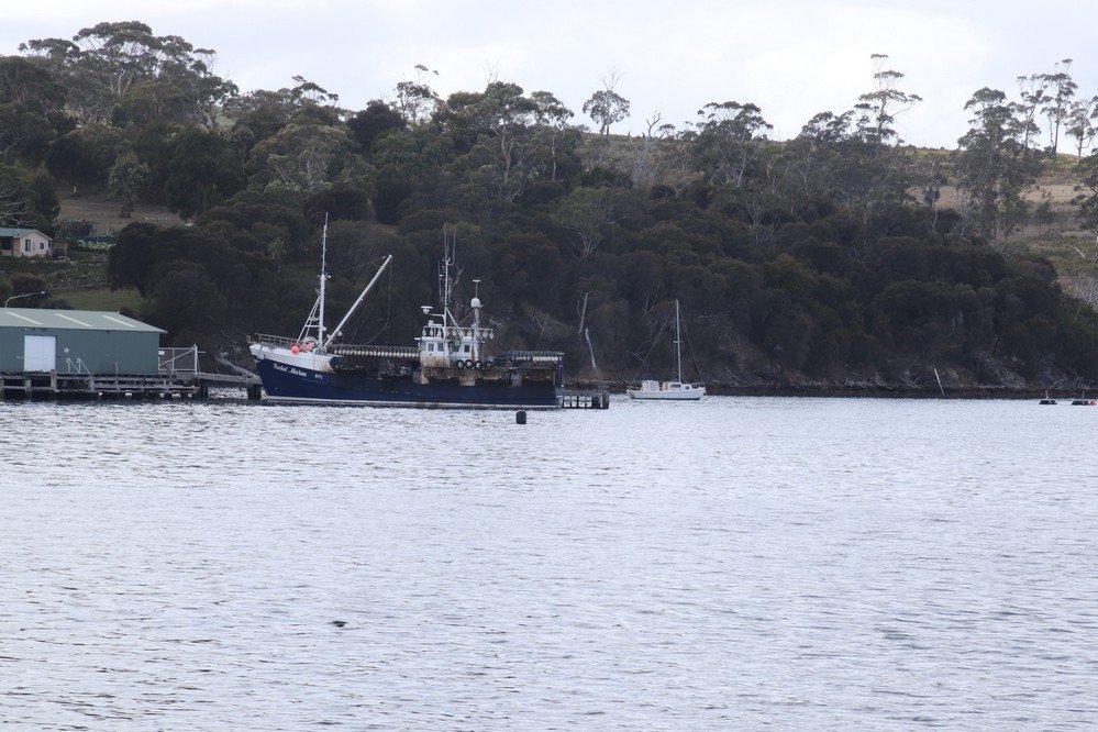 Encounter Maria Island Ferry (Triabunna) - All You Need To Know BEFORE ...