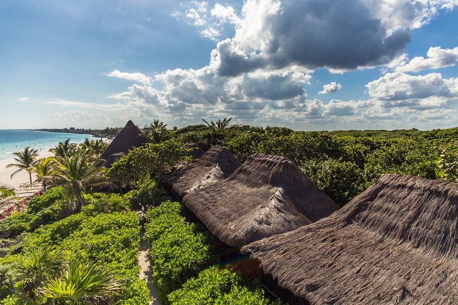 pocna tulum beach club