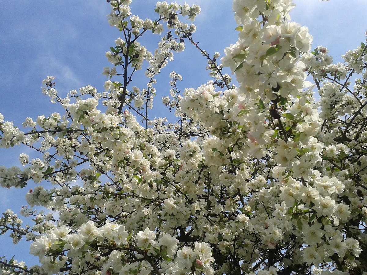 OBSTWEG LEICHLINGEN - All You Need to Know BEFORE You Go