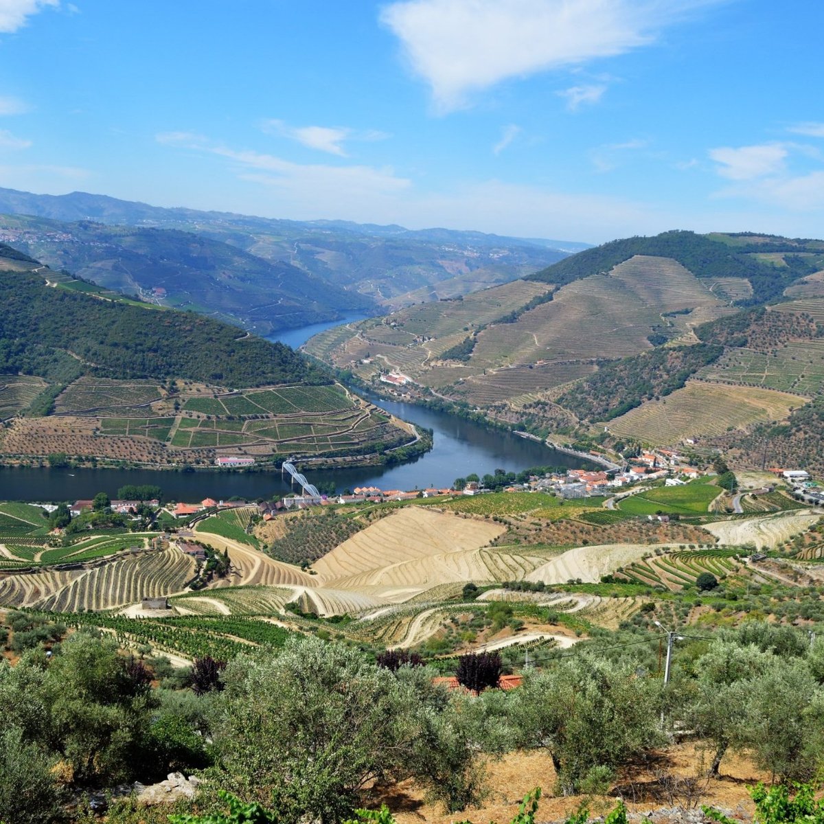 2022年 Portugal Ev Tours 行く前に！見どころをチェック トリップアドバイザー