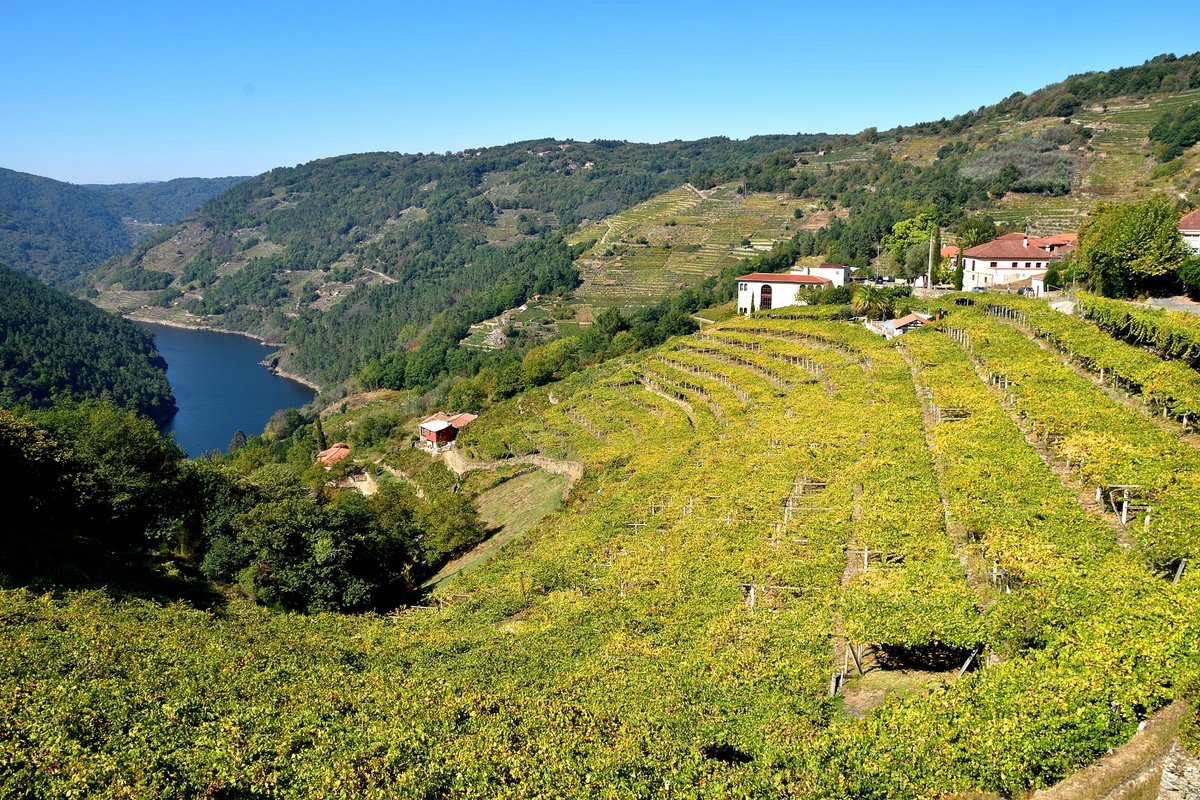 DIE TOP 10 Sehenswürdigkeiten in Province of Lugo 2022 (mit fotos