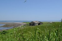 21年 嶮暮帰島 行く前に 見どころをチェック トリップアドバイザー 21年 嶮暮帰島 行く前に 見どころをチェック トリップアドバイザー
