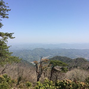 龟冈市10 大公园与自然景点 Tripadvisor