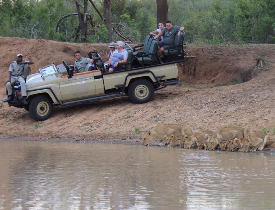 Pneu furado do jipe no meio da savana!!! - Picture of Kapama River Lodge,  Kapama Private Game Reserve - Tripadvisor