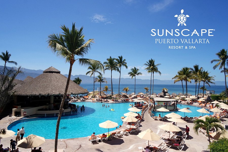 Sunscape Puerto Vallarta Resort Spa Pool Fotos Und Bewertungen Tripadvisor