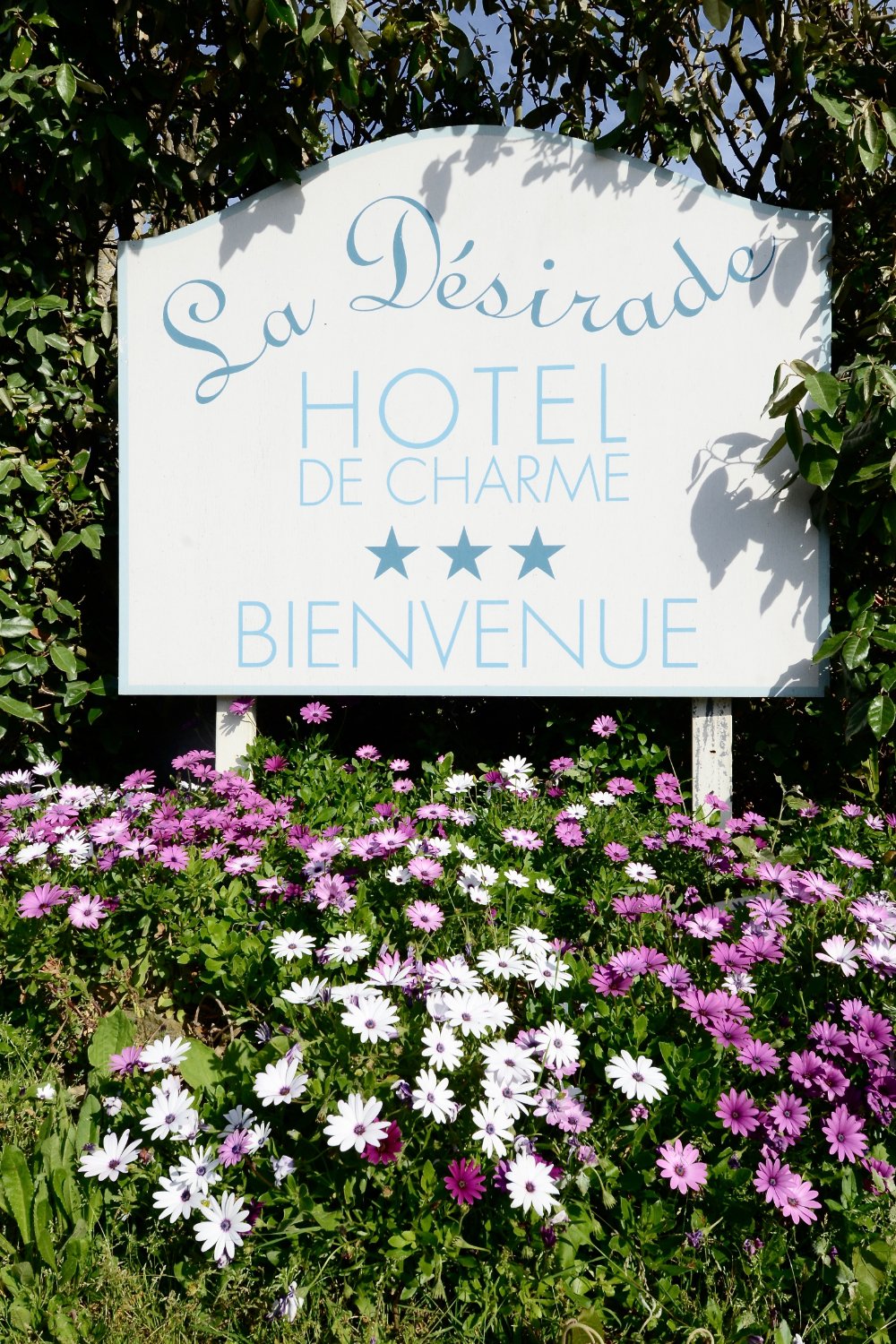 Hotel photo 39 of Hotel La Desirade.