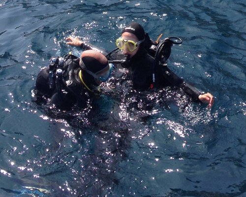 The Best Cassis Scuba Diving & Snorkeling Activities (2024)