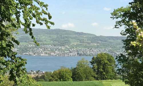 Horgen 21 Best Of Horgen Switzerland Tourism Tripadvisor Horgen 21 Best Of Horgen Switzerland Tourism Tripadvisor