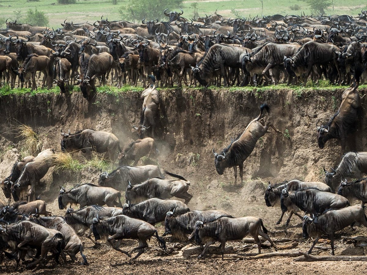 unique safaris tanzania