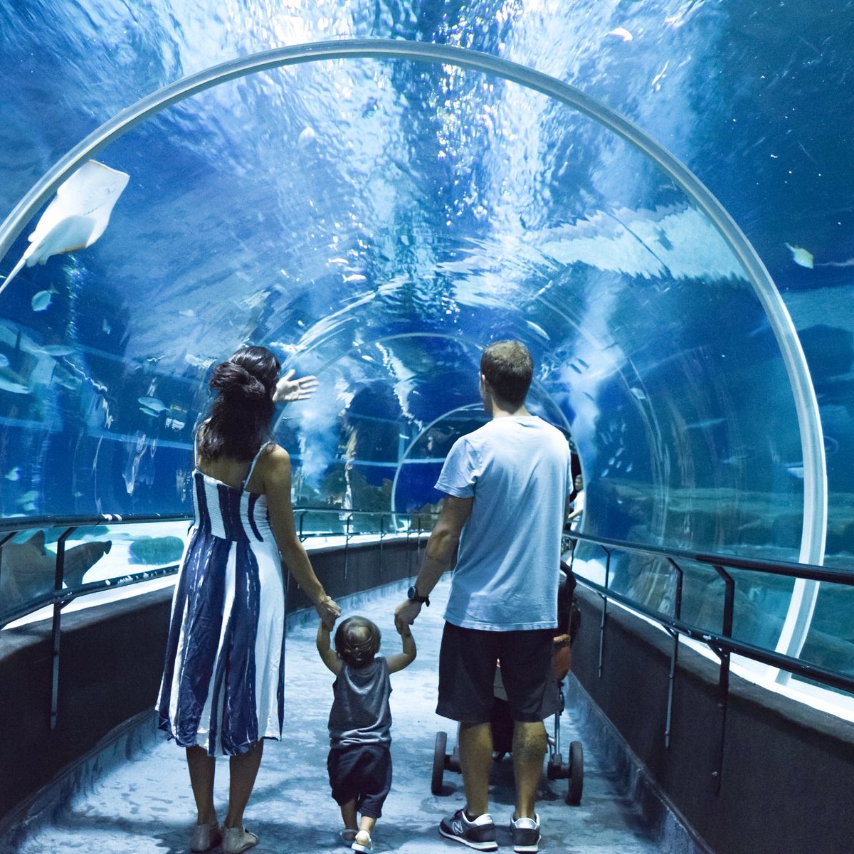 AquaRio, Рио-де-Жанейро: лучшие советы перед посещением - Tripadvisor