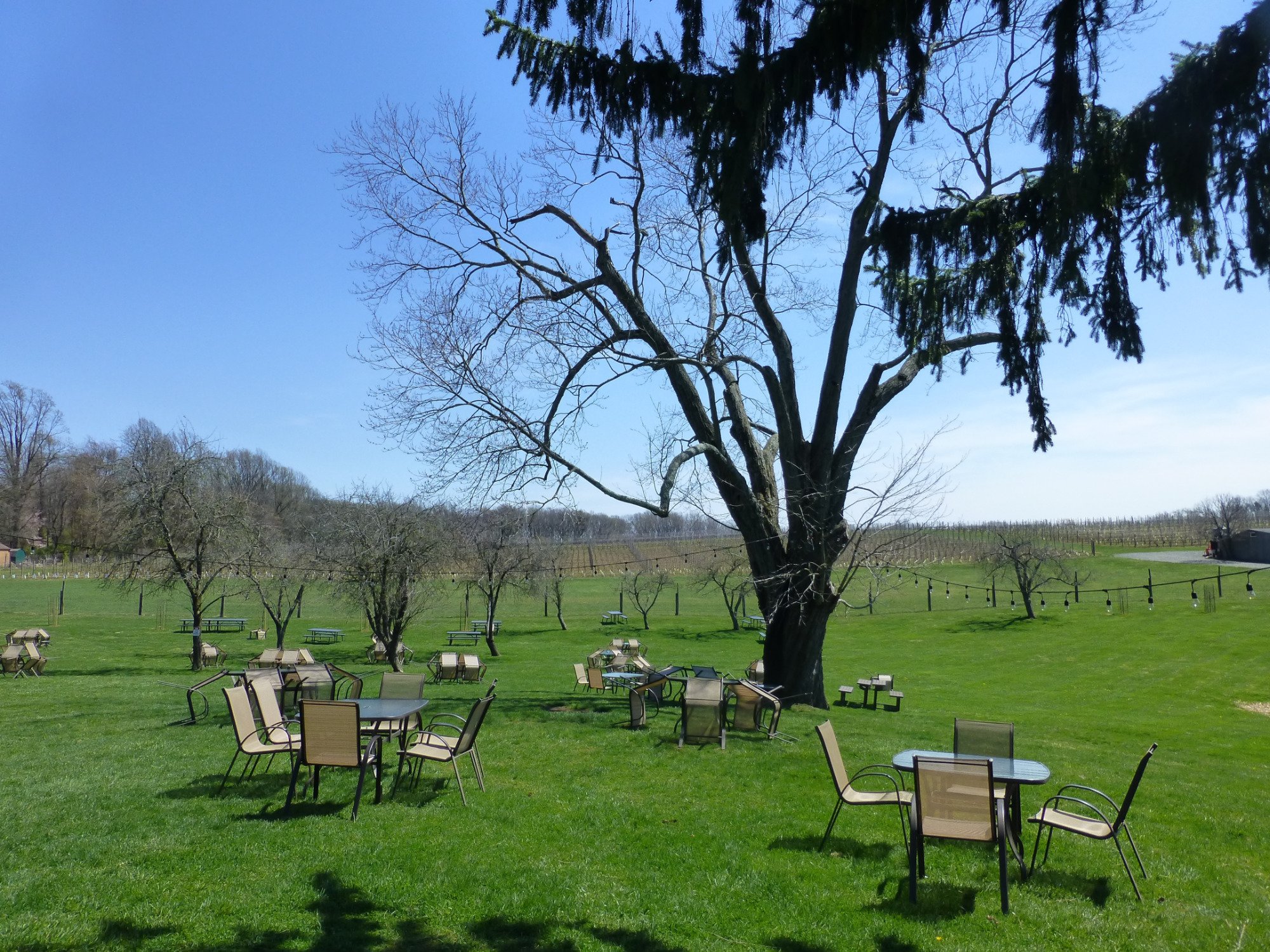 THE 10 BEST Brandywine Valley Wineries Vineyards to Visit 2024