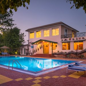 The Holy Dip - Pool