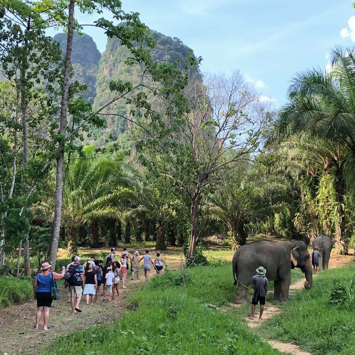 transaktion auktion portugisisk Khao Sok Elephant Sanctuary (Khao Sok National Park) - All You Need to Know  BEFORE You Go