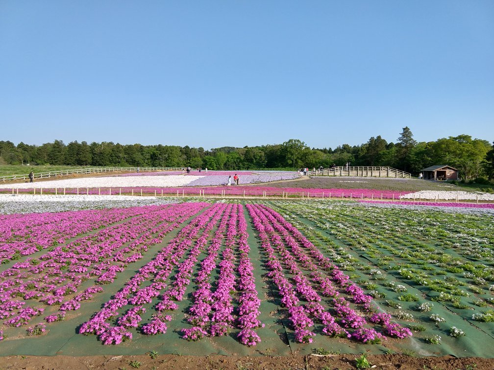 千葉市富田都市農業交流センター ペット オファー