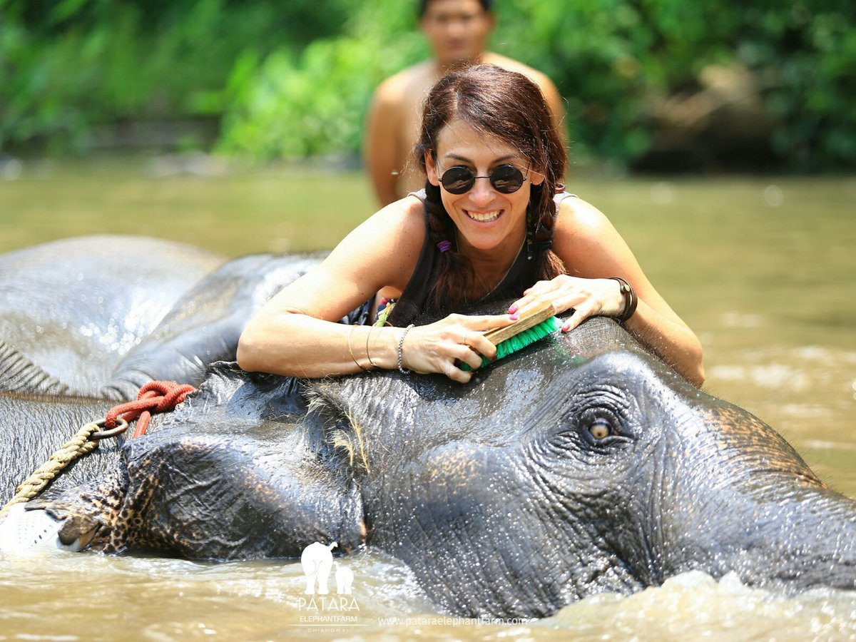 PATARA ELEPHANT FARM - PRIVATE TOURS (Chiang Mai) - 2023 What to Know ...