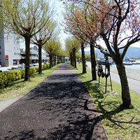 Suwa City Kohan Park