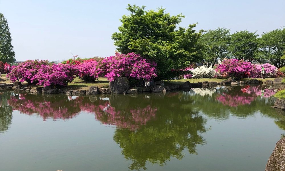 21 年日本館林市的旅遊景點 旅遊指南 行程 Tripadvisor