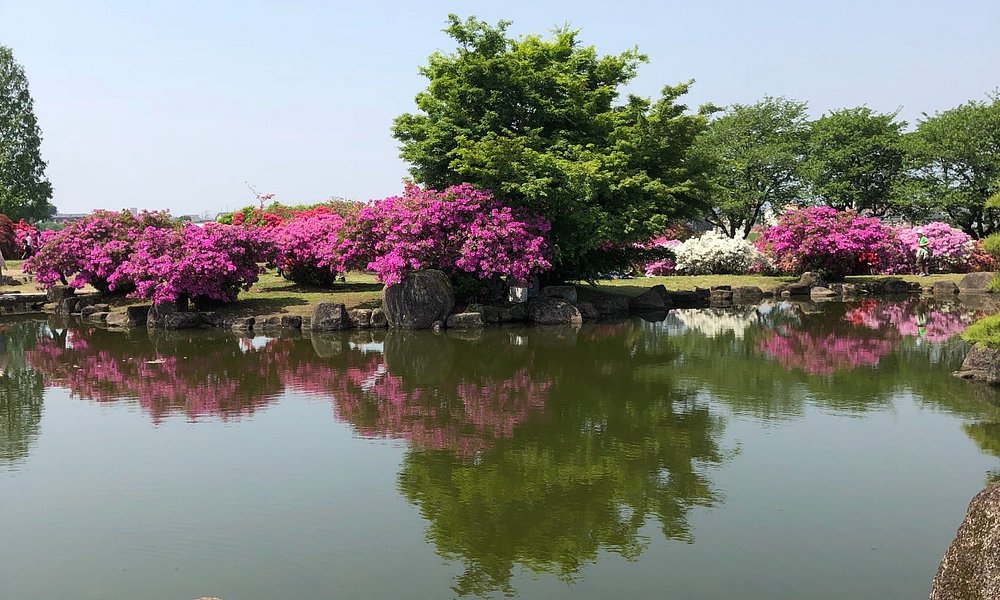 21 年日本館林市的旅遊景點 旅遊指南 行程 Tripadvisor 21 年日本館林市的旅遊景點 旅遊指南 行程 Tripadvisor