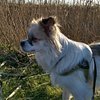 katrijn2018