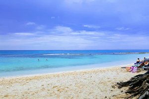 Pool & Beach