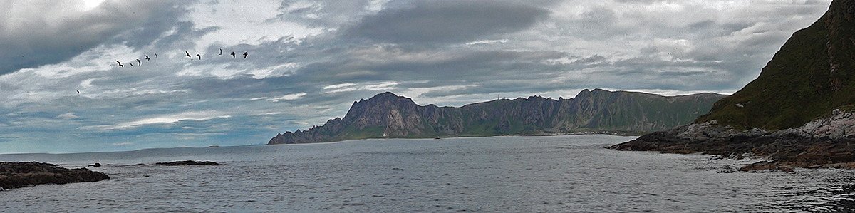 Puffin Safari Bleik Aktuell Für 2022 Lohnt Es Sich Mit Fotos 5416