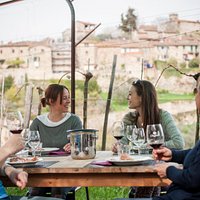 Wine tasting in the vineyard