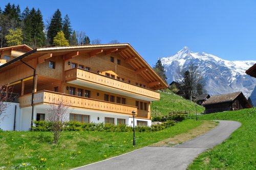 Switzerland ~ GRINDELWALD ~ Mountain Chalet Cottage Stereoview 10702 ve445a 