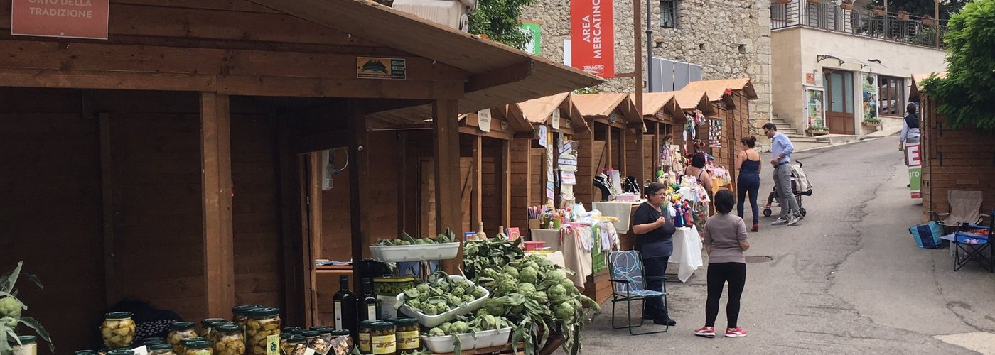 Centro di Auletta e Sagra del Carciofo Bianco