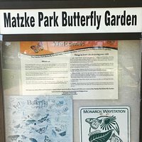Butterfly garden