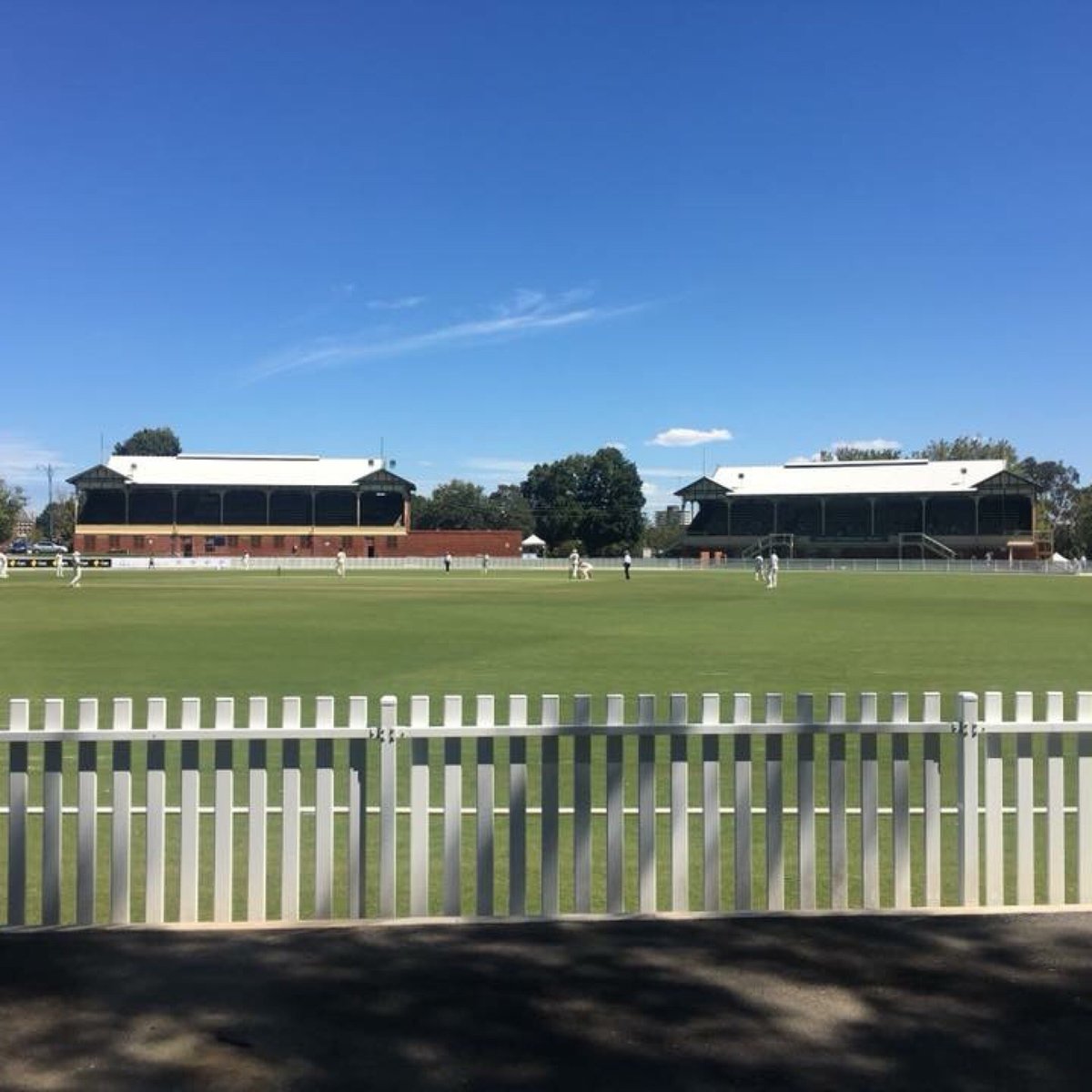 2024年 Junction Oval 出発前に知っておくべきことすべて トリップアドバイザー