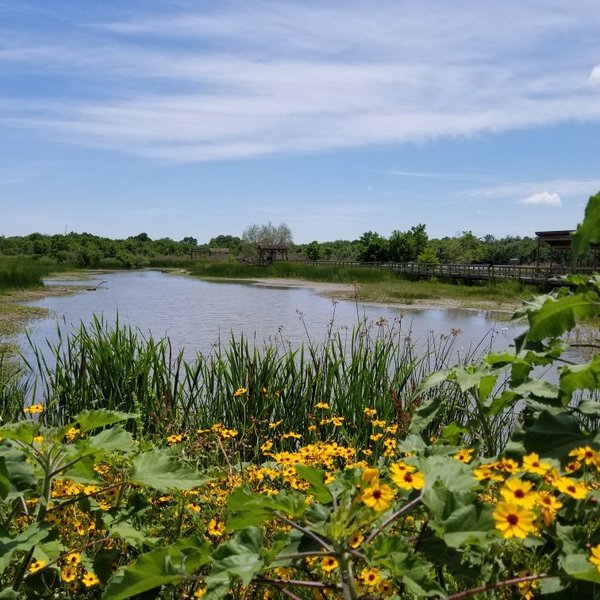 top 102+ Pictures laguna atascosa national wildlife refuge photos Updated