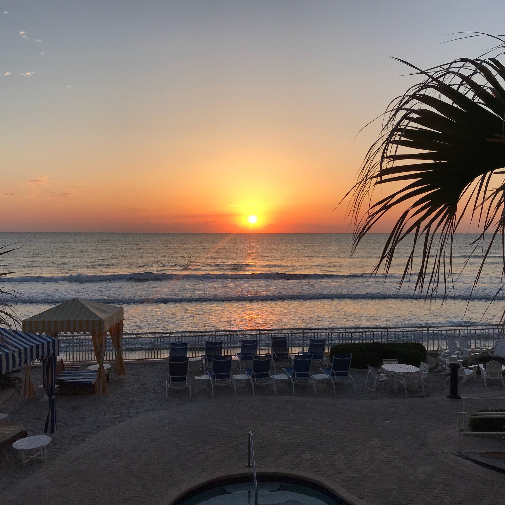 the shores resort and spa daytona reviews