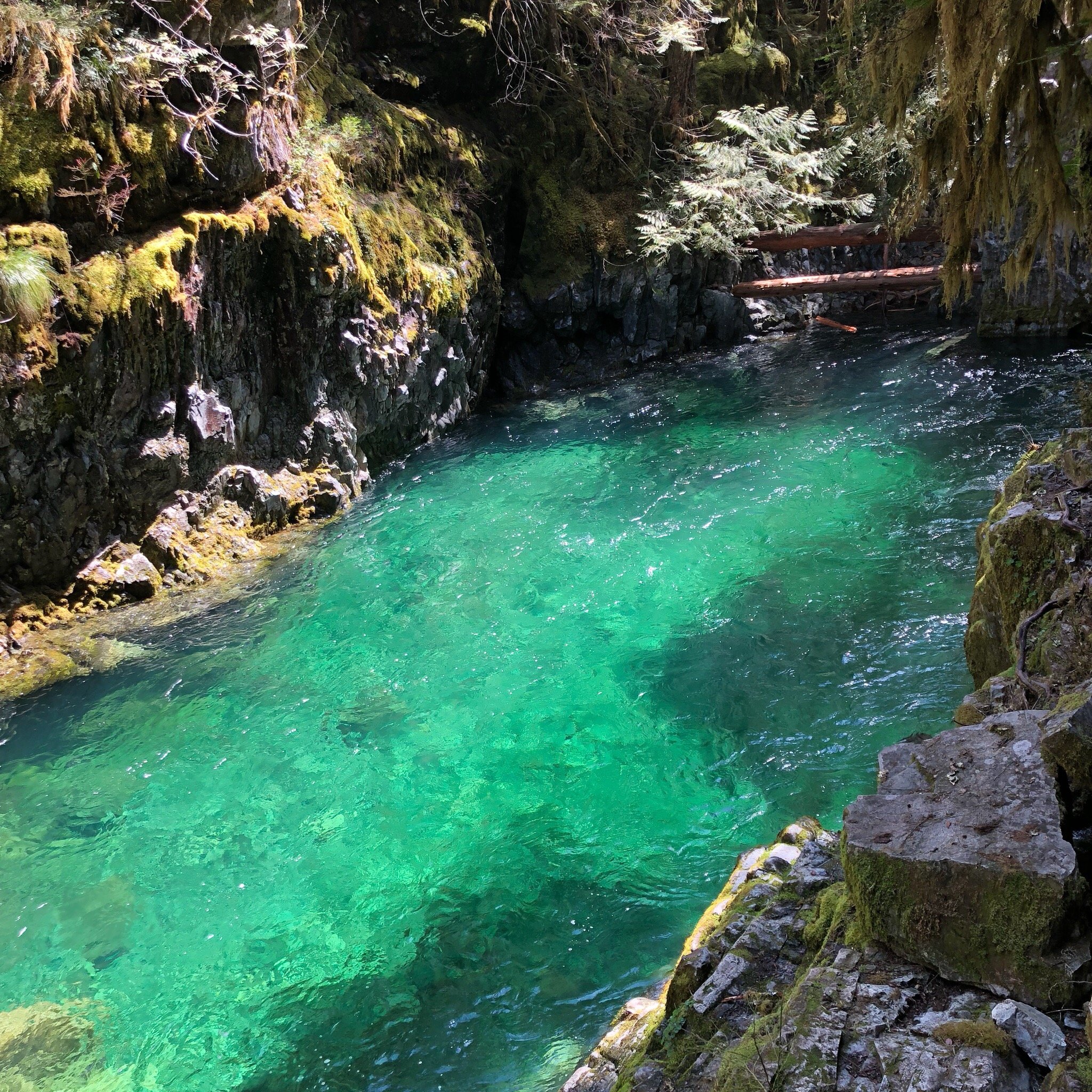 Opal creek shop hike