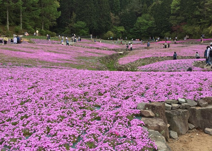 22年日本三田市的旅游景点 旅游指南 行程 Tripadvisor