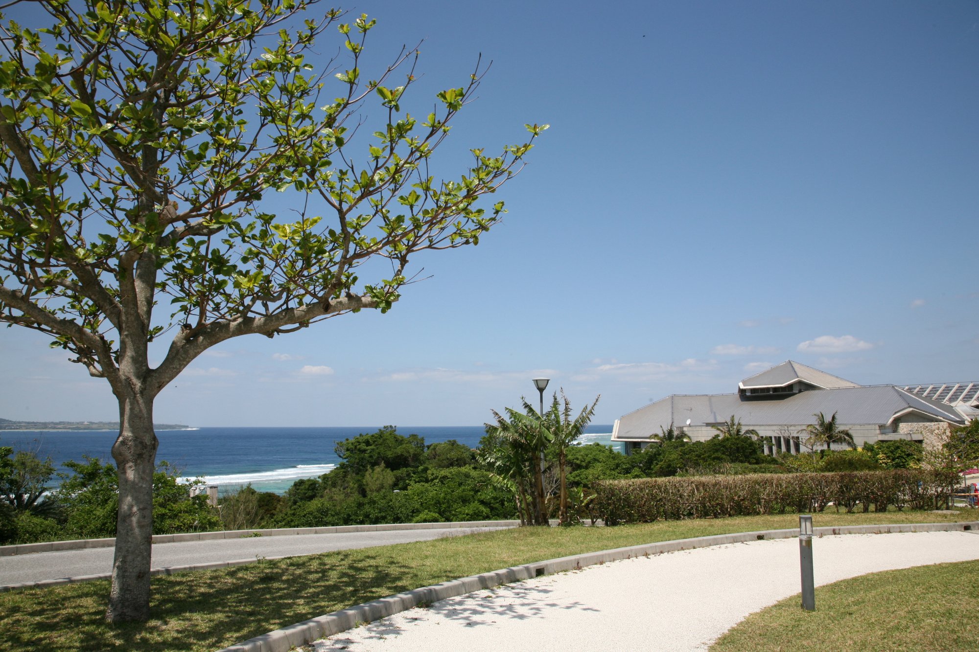 Okinawa Memorial Park Ocean Expo Park, Motobu-cho