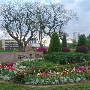 北九州市の公園 自然 ベスト10 トリップアドバイザー