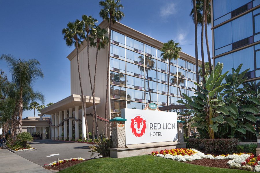 red lion hotel pillows