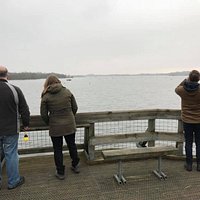 The Barton Broad Boardwalk lookout with spectacular views across Barton Broad's wildlife.